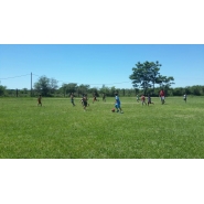 Colonia de Vacaciones - Diciembre 2014